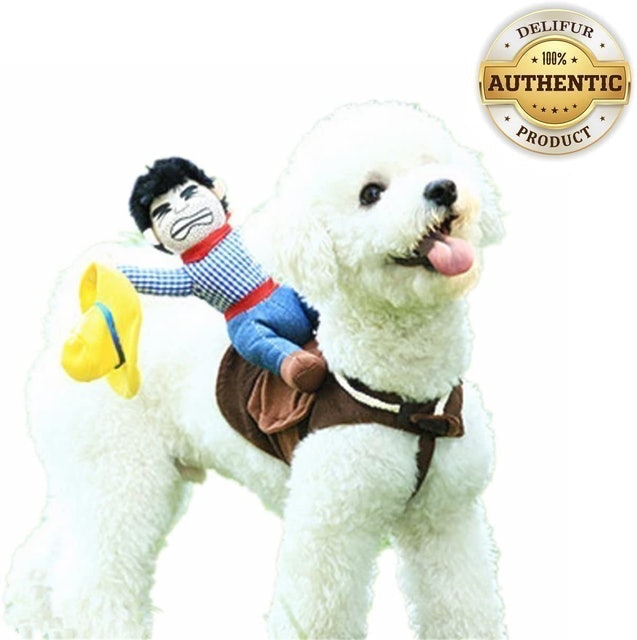 Delifur Cowboy Rider Style Dog Carrying Costume 1