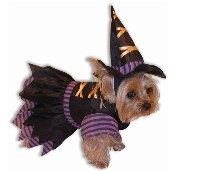 Forum Novelties Witch Doggie Pet Costume 1