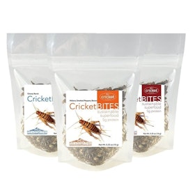 10 Best Edible Insects in 2022 (Hotlix, Rocky Mountain Micro Ranch, and More) 3