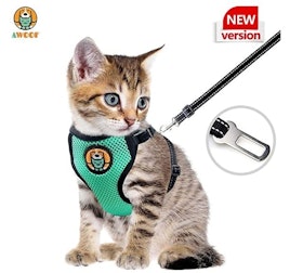10 Best Cat Harnesses in 2022 (Kitty Holster, rabbitgoo, and More) 2