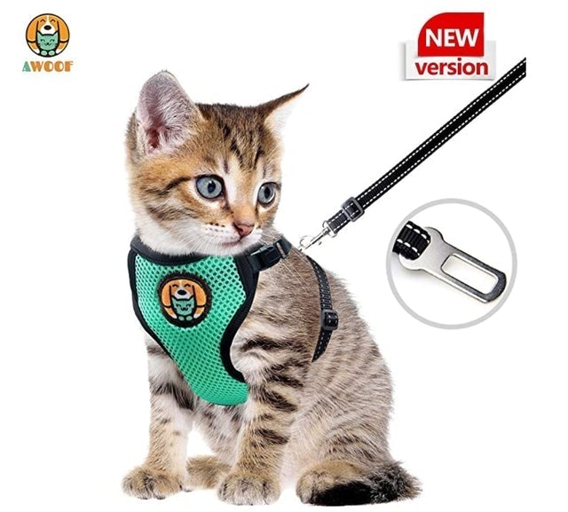 Awoof Adjustable Kitten and Cat Harness With Leash 1