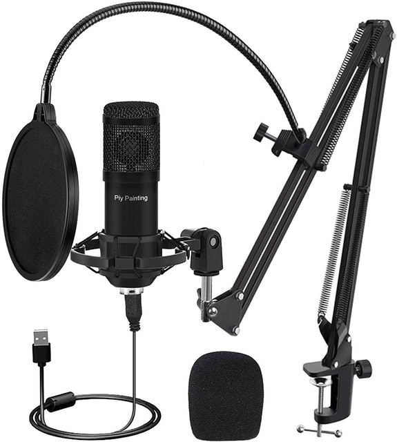 Piy Painting USB Microphone Kit 1