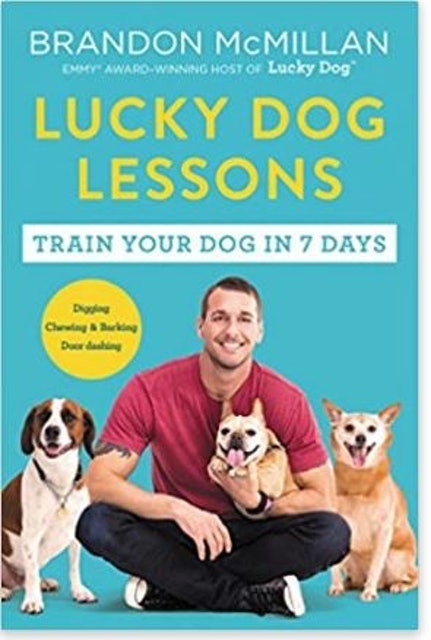 Brandon McMillan Lucky Dog Lessons 1