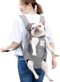 10 Best Dog Carrier Backpacks in 2022 (Dog Adventure Blogger-Reviewed) 4