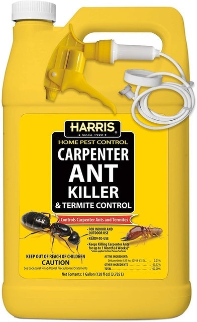 Harris Carpenter Ant Killer 1