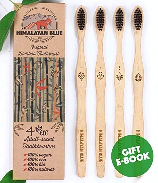 best recyclable toothbrush