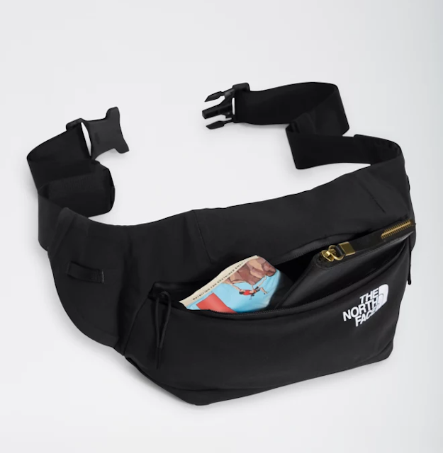 Top 10 Best Fanny Packs for Men in 2021 (Patagonia, Carhartt, and More ...