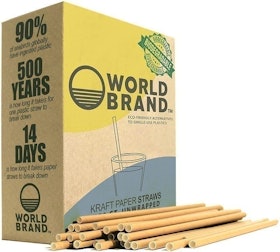 10 Best Biodegradable Straws in 2022 (Stems, HAY! Straws, and More) 1