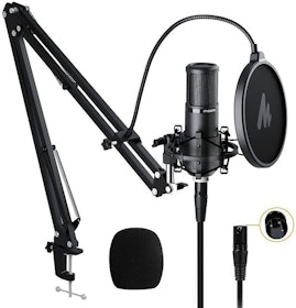 10 Best Microphones for Streaming in 2022 (Blue Microphones, Neewer, and More) 2