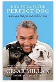 10 Best Dog Training Books in 2022 (Zak George, Cesar Millan, and More) 4