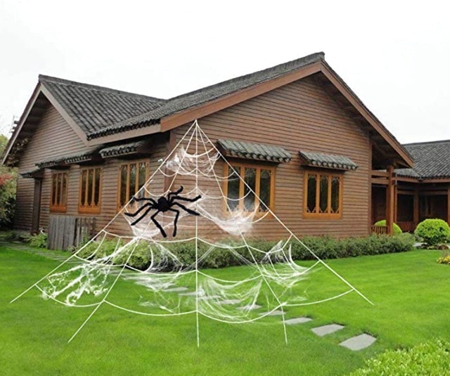 Hyrixdirect Stretch Cobweb With Spider 1