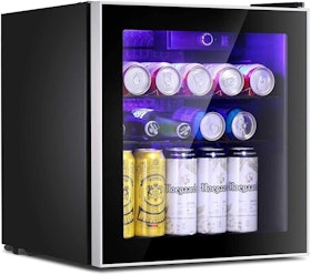 10 Best Compact Fridges in 2022 (hOmelabs, Midea, and More) 5