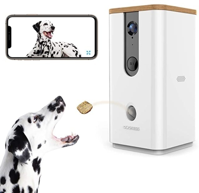 Automatic dog treat dispenser with camera Clearance
