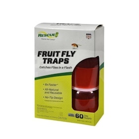 10 Best Fruit Fly Traps in 2022 (Raid, Aspectek, and More) 1