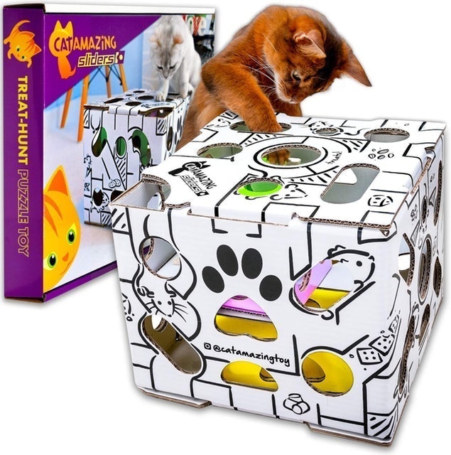 Cat Amazing Sliders Treat-Hunt Puzzle Toy 1