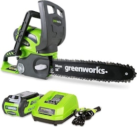 10 Best Cordless Chainsaws in 2022 (Black+Decker, Craftsman, and More) 2