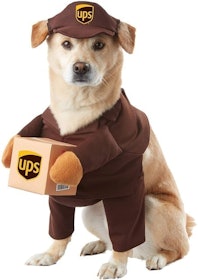 10 Best Dog Halloween Costumes in 2022 (Rubie's, Animal Planet, and More) 5