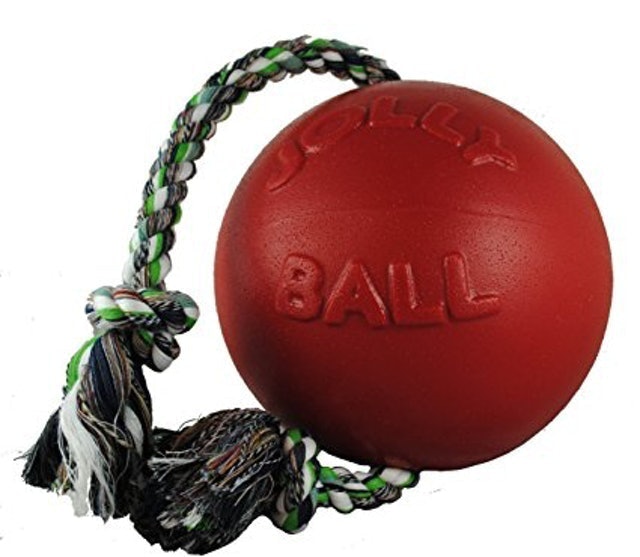 Jolly Pets Romp-N-Roll Ball 1