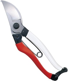 Top 10 Best Pruning Shears in 2021 (Felco, Ryobi, and More) 4