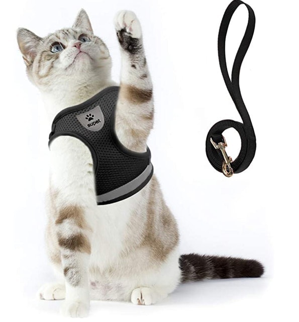 Top 10 Best Cat Harnesses in 2020 (Kitty Holster, rabbitgoo, and More