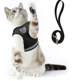10 Best Cat Harnesses in 2022 (Kitty Holster, rabbitgoo, and More) 4