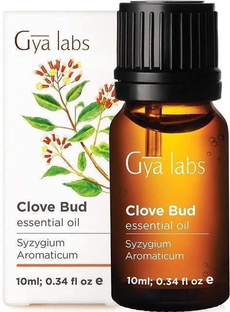 Gya Labs  Clove Bud Essential Oil  1