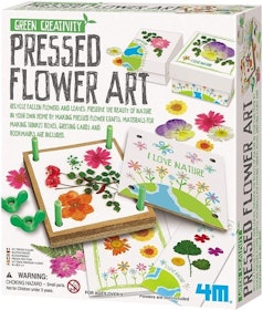10 Best Flower Pressing Kits in 2022 (4M, Microfleur, and More) 5