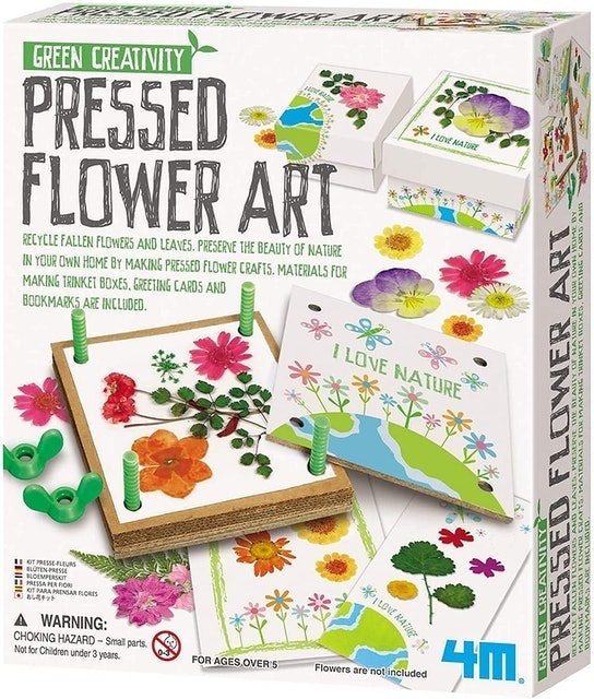 4M Green Creativity Pressed Flower Art 1