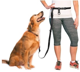10 Best Dog Leashes for Running in 2022 (TaoTronics, oneisall, and More) 5