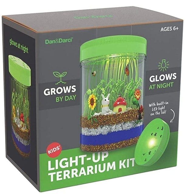 Dan&Darci Light-up Terrarium Kit for Kids With LED Light on Lid 1