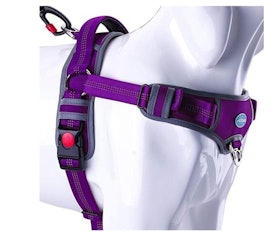 10 Best No-Pull Dog Harnesses in 2022 (PetSafe and More) 5