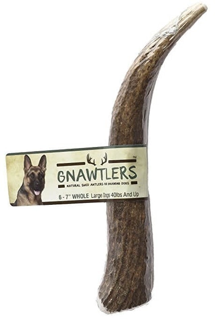 Pet Parents Naturally Shed Elk Antlers 1
