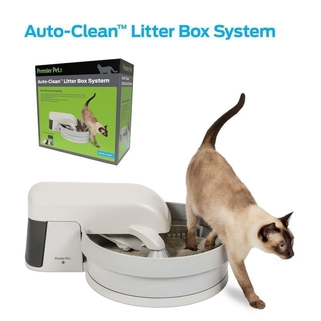 Top 10 Best Robotic Litter Boxes in 2021 (LitterRobot, CatGenie, and