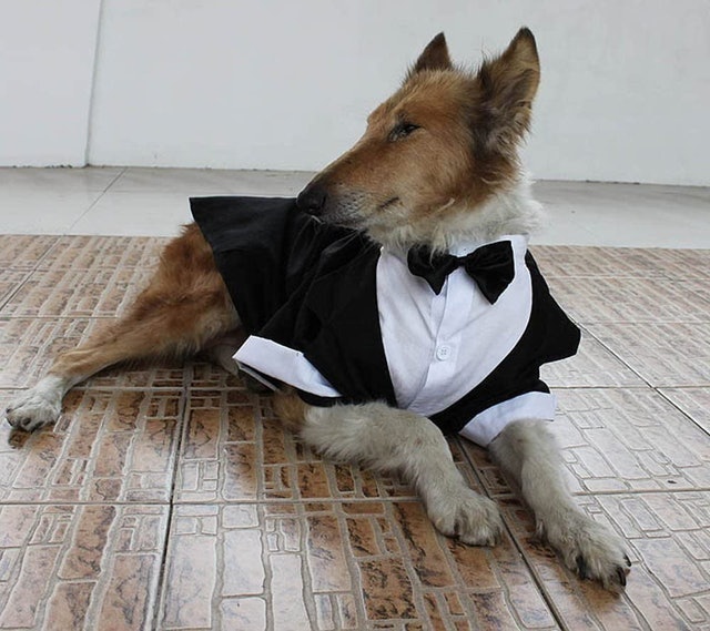 Evursua Dug Tuxedo Wedding Party Suit 1