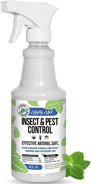 Mighty Mint Insect and Pest Control 1