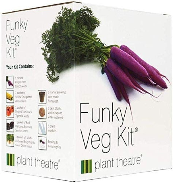 Plant Theater Funky Veg Kit 1