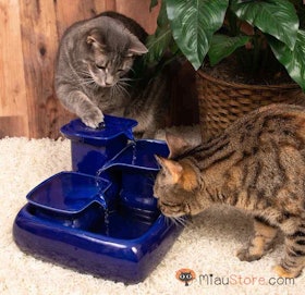 8 Best Cat Drinking Fountains in 2022 (Professional Pet Care Provider-Reviewed) 2