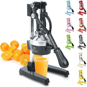 10 Best Citrus Juicers in 2022 (Chef-Reviewed) 3