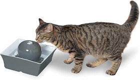 8 Best Cat Drinking Fountains in 2022 (Professional Pet Care Provider-Reviewed) 5