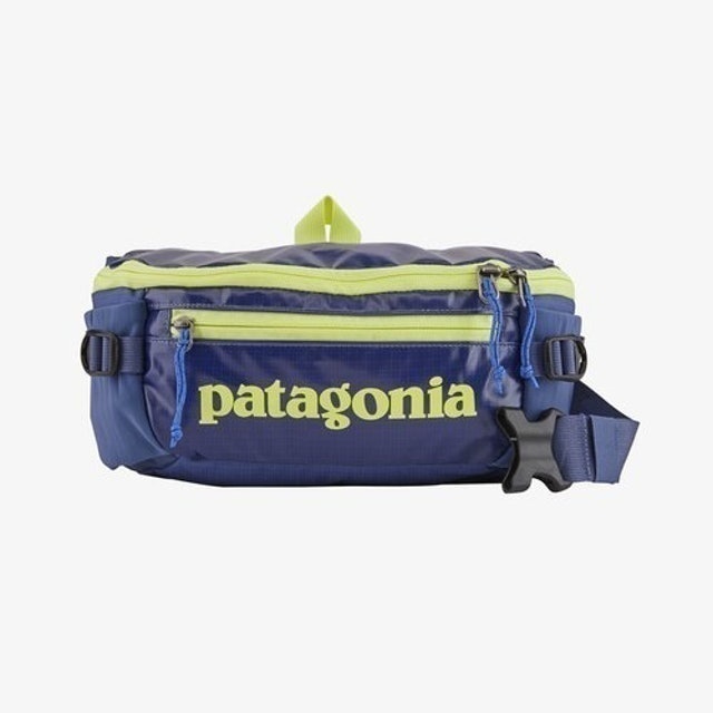 Top 10 Best Fanny Packs for Travel in 2021 (Patagonia, Herschel, and