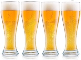 10 Best Beer Glasses in 2022 (Craft Beer Brewer-Reviewed) 5