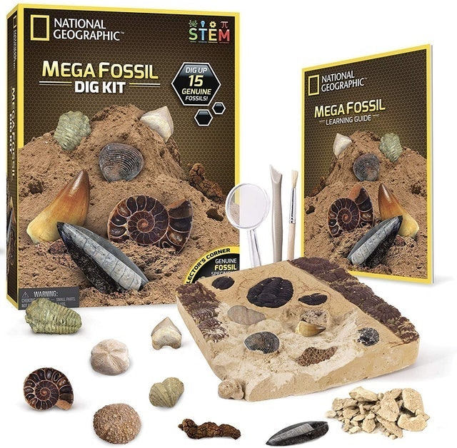 National Geographic Mega Fossil Dig Kit 1