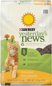 10 Best Cat Litters in 2022 (Purina, Arm & Hammer, and More) 1