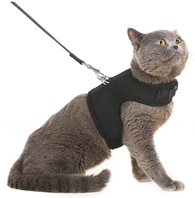 Pupteck Mesh Cat Harness With Leash 1