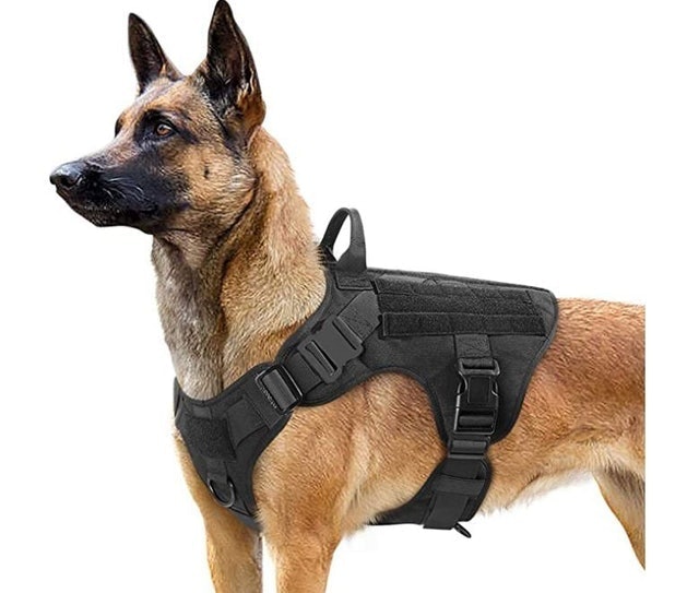 Rabbitgoo Tactical Dog Harness  1