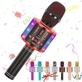10 Portable Karaoke Machines in 2022 (KaraoKing, Singsation, and More) 2