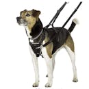 10 Best No-Pull Dog Harnesses in 2022 (PetSafe and More)