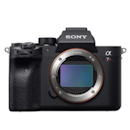 5 Best Mirrorless Cameras for Beginners in 2022 (Concert & Travel Photographer-Reviewed)