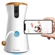 7 Best Pet Camera Treat Dispensers in 2022 (Furbo, Petcube, and More)