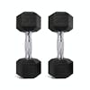 10 Best Dumbbells for Home in 2021 (Personal Trainer-Reviewed)